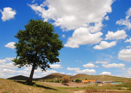 Family Internal Hiring: Chief Fun & Fab Officer