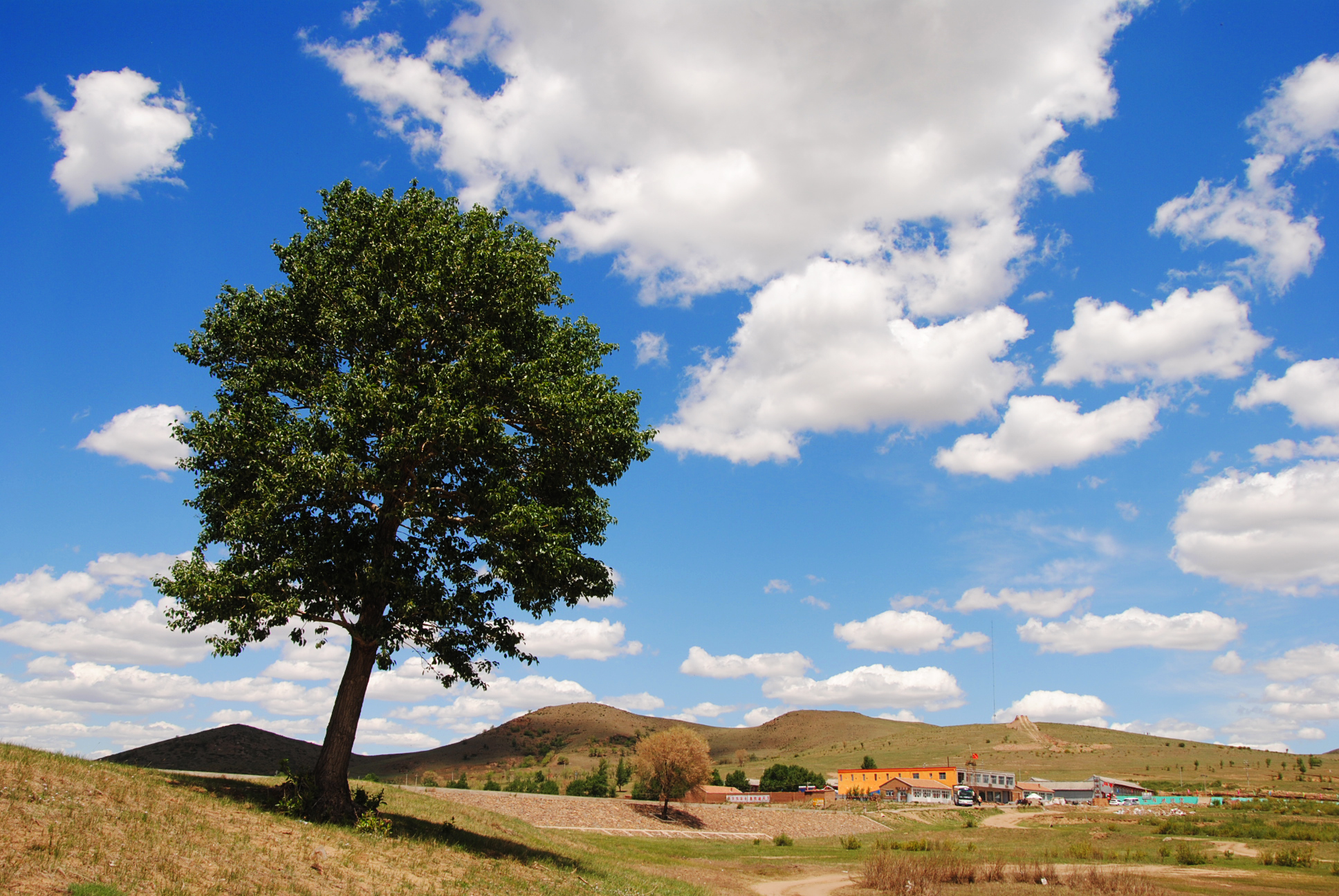 Family Internal Hiring: Chief Fun & Fab Officer