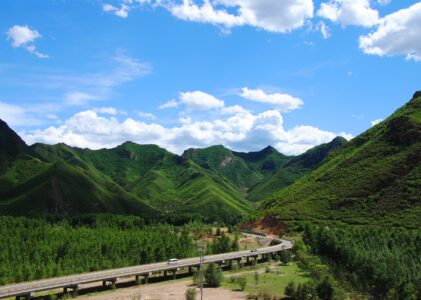 One Log Sample Showing Multiple Agent System Works