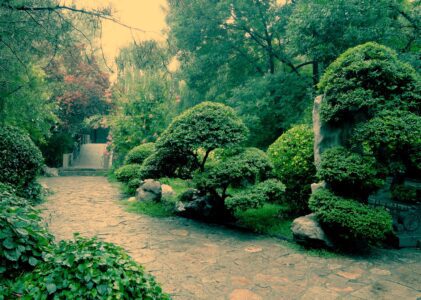 How to create and activate the virtual environment(.venv) in Code Editor(VS Code/Cursor)