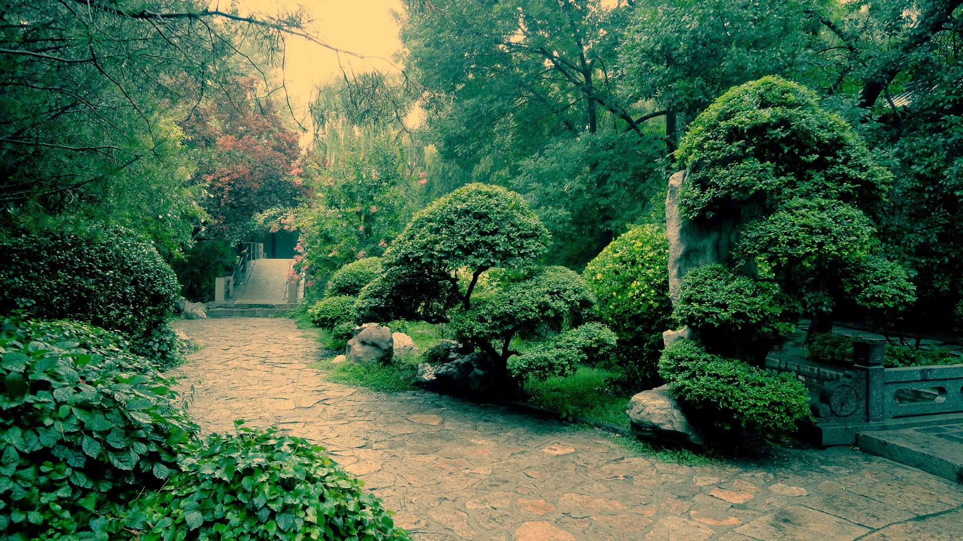 How to create and activate the virtual environment(.venv) in Code Editor(VS Code/Cursor)