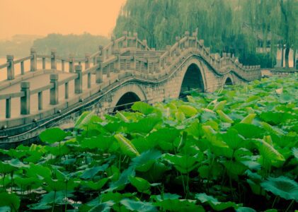 Building My First Multi-Agent System with SmolAgent: Learning by Doing