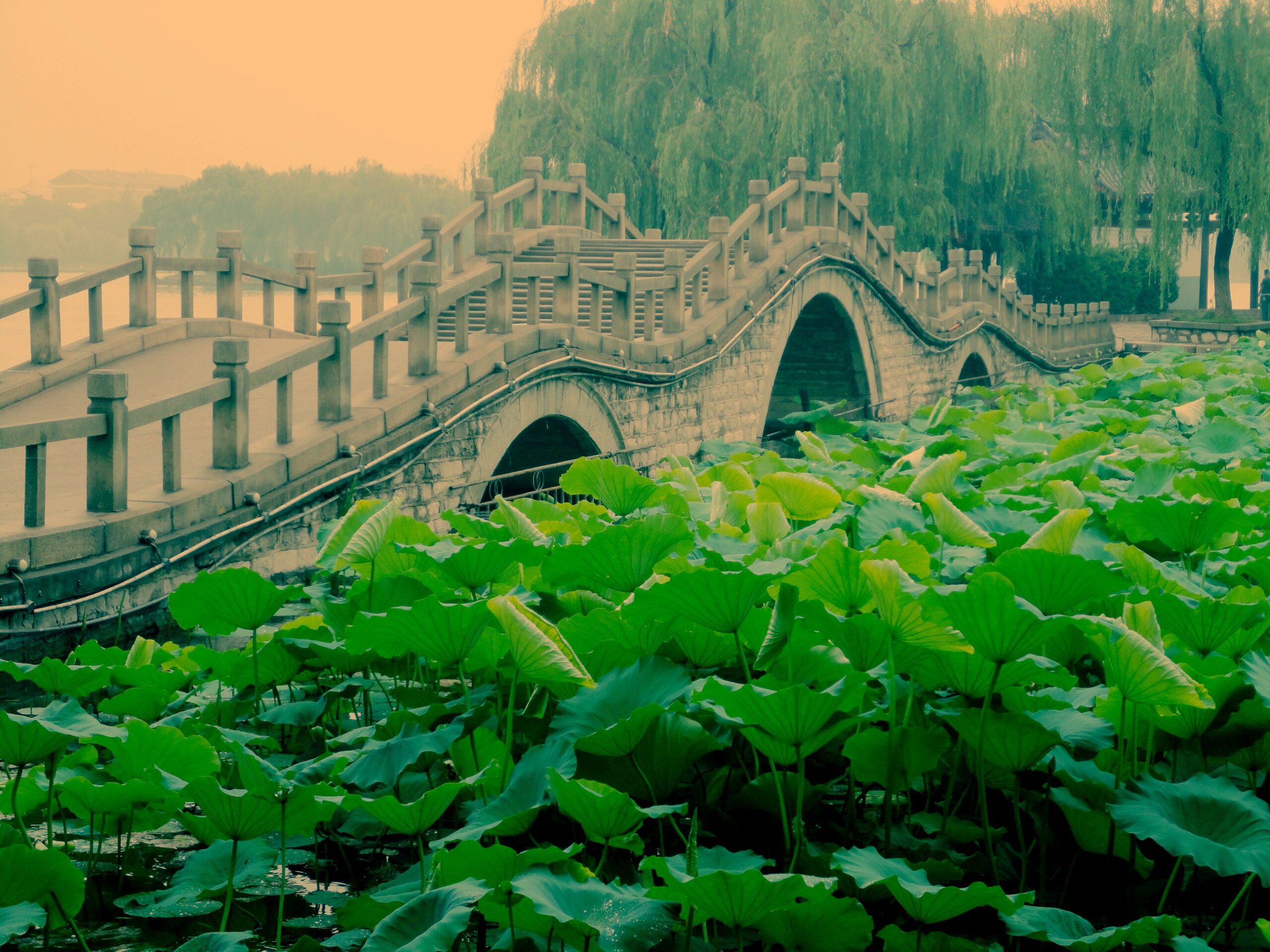 Building My First Multi-Agent System with SmolAgent: Learning by Doing