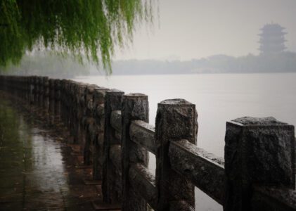 How to Inspect WordPress Users and Site Configuration from Docker-based MariaDB on Synology NAS