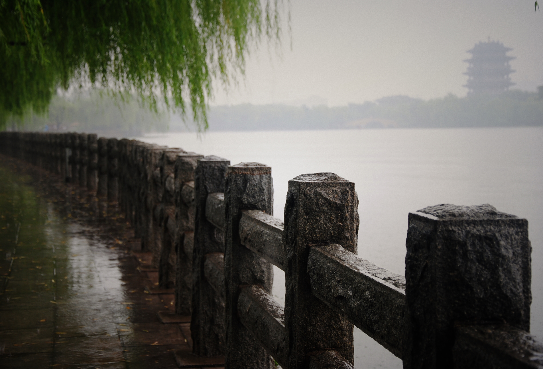 How to Inspect WordPress Users and Site Configuration from Docker-based MariaDB on Synology NAS