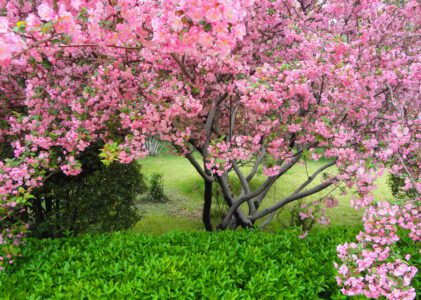 My Most Powerful AI Tower is Coming!!!