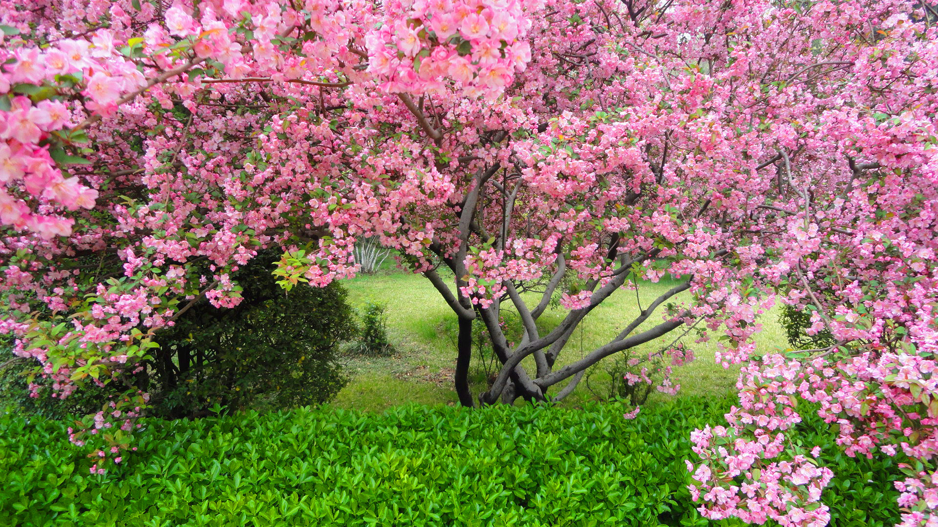 My Most Powerful AI Tower is Coming!!!